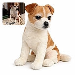 A small dog with white and brown fur sits on a patterned bedspread, looking off to the side with a calm and slightly pensive expression. The background shows some furniture and household items, with a large text overlay 'Tove' across the bottom of the image, adding a playful personal touch.