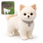 A fluffy white dog with a curled tail stands alertly on a patch of grass and dirt, giving the camera a curious look as if wondering why it's being photographed in the great outdoors.