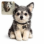 A small, scruffy dog with a mix of black and white fur looks up with curious eyes, standing on a textured concrete floor casting a soft shadow.
