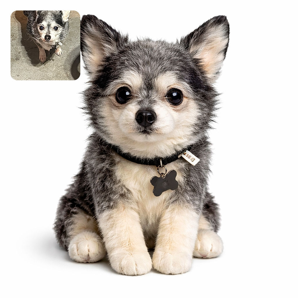 A small, scruffy dog with a mix of black and white fur looks up with curious eyes, standing on a textured concrete floor casting a soft shadow.