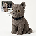 A sleek gray cat with striking yellow eyes sits poised on a windowsill, looking thoughtfully into the distance. The indoor background is softly blurred, highlighting the cat's elegant fur and curious expression, with a collar and leash hinting at a recent adventure or a moment of contemplation.