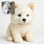 A close-up of a fluffy white dog with striking blue eyes, looking slightly off to the side with a calm expression. The background is neutral and unobtrusive, focusing attention on the dog's soft fur and facial features.