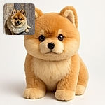 A fluffy, adorable Pomeranian dog sitting on a rustic wooden floor, looking straight at the camera with big, soulful eyes and a little smile, radiating cuteness and charm.