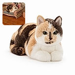 A regal calico cat lounges in a tiny cardboard throne, looking like the unquestioned monarch of the living room while the scratching furniture serves as its royal upholstery.