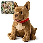 A happy dog with a reddish-brown coat and a red collar is standing outdoors on a leafy ground, looking to the side with its tongue slightly out, enjoying the fresh air and nature.