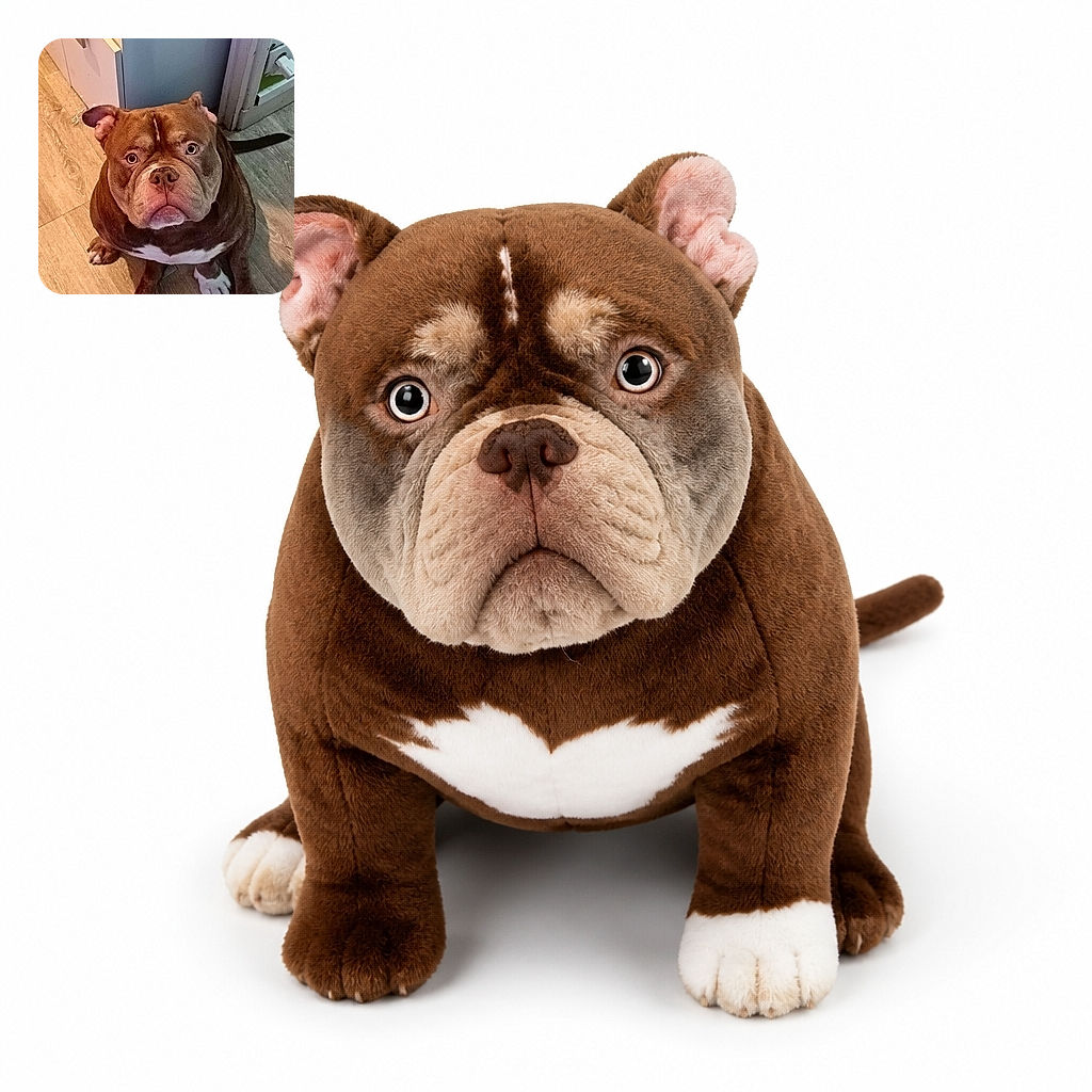 A very serious-looking bulldog stares into the camera with enormous round eyes, as if personally offended that dinner is late. Its wrinkly caramel-and-chocolate face and white chest patch steal the spotlight while it sits proudly on a wooden floor beside a doorway.