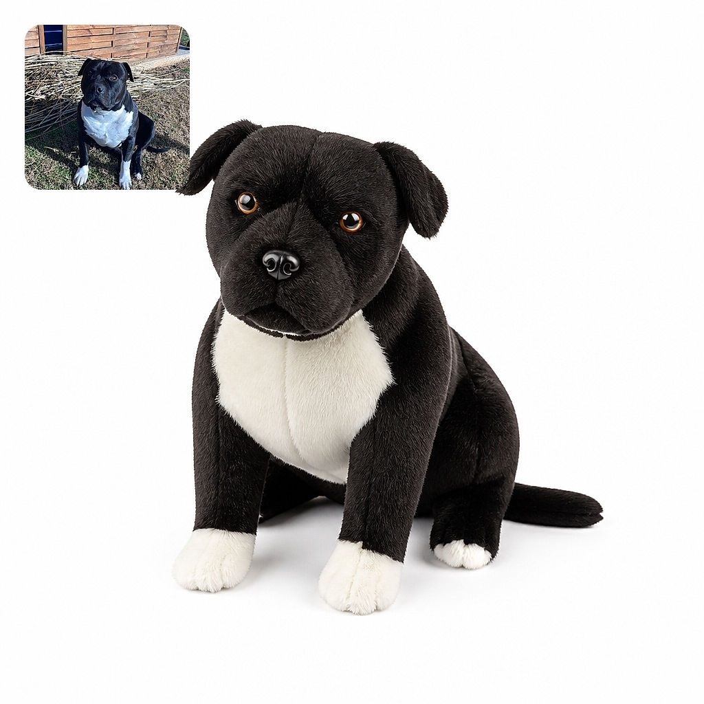 A handsome black-and-white dog sits proudly in the yard, staring into the camera like the neighborhood security chief taking a very serious lunch break. Behind him are a rustic wooden wall, tangled branches, and sunlit grass.