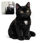 A sleek black cat with striking yellow eyes lounges elegantly on a small black table next to a white fan and lamp, casting a shadow on the plain wall that looks like a mysterious silhouette.