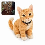 An adorable orange kitten looks up at the camera like a tiny striped supervisor, complete with giant ears, bright eyes, white socks, and a bell collar. It is posing on a wooden floor beside a scratching post, while the camera watermark quietly documents the celebrity encounter.