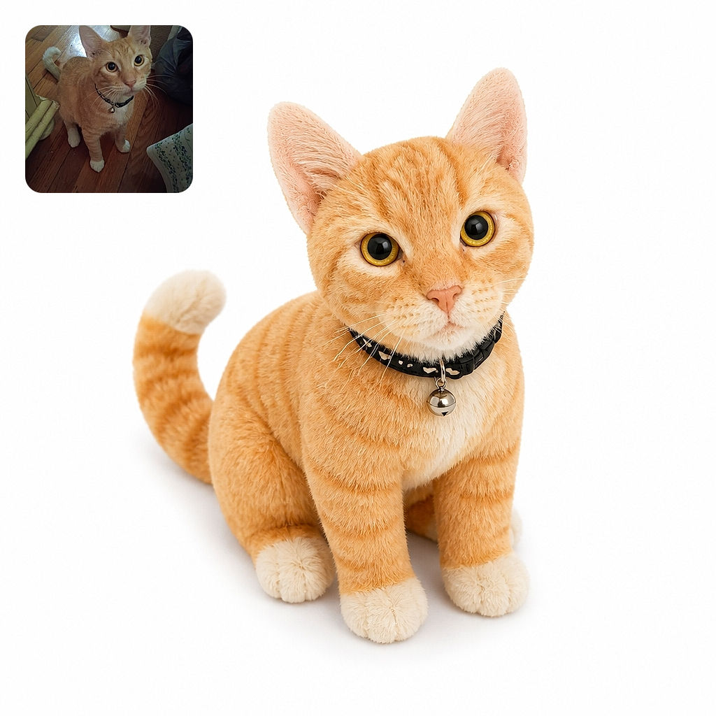 An adorable orange kitten looks up at the camera like a tiny striped supervisor, complete with giant ears, bright eyes, white socks, and a bell collar. It is posing on a wooden floor beside a scratching post, while the camera watermark quietly documents the celebrity encounter.