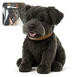 A scruffy black dog with soulful eyes and a slightly sticking-out tongue is being gently held by a tattooed arm, nestled against a soft beige pillow in a cozy indoor setting with various household items in the background.