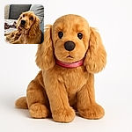 A fluffy golden puppy lounges comfortably on a cozy couch, gazing upwards with soulful eyes. Behind, a colorful rope toy lies on a patterned blanket, adding a playful touch to the warm, inviting scene.