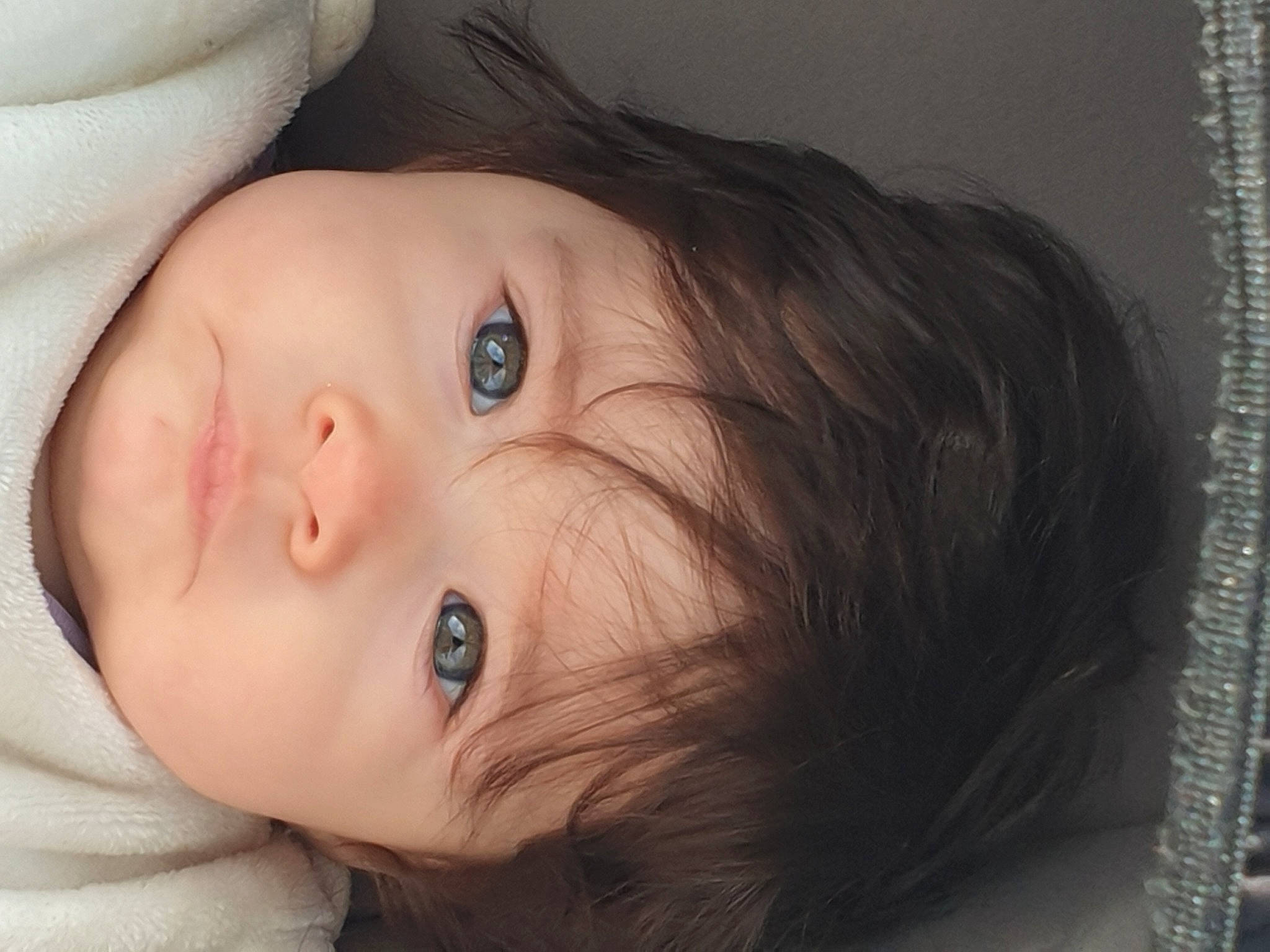 Elysia a rejoint le concours — aidez-le/la à gagner de superbes lots ! baby, beauty, cheek, child, chin, close_up, eye, eyebrow, face, forehead, hair, head, iris, lip, mouth, nose, organ, person, portrait_photography, skin