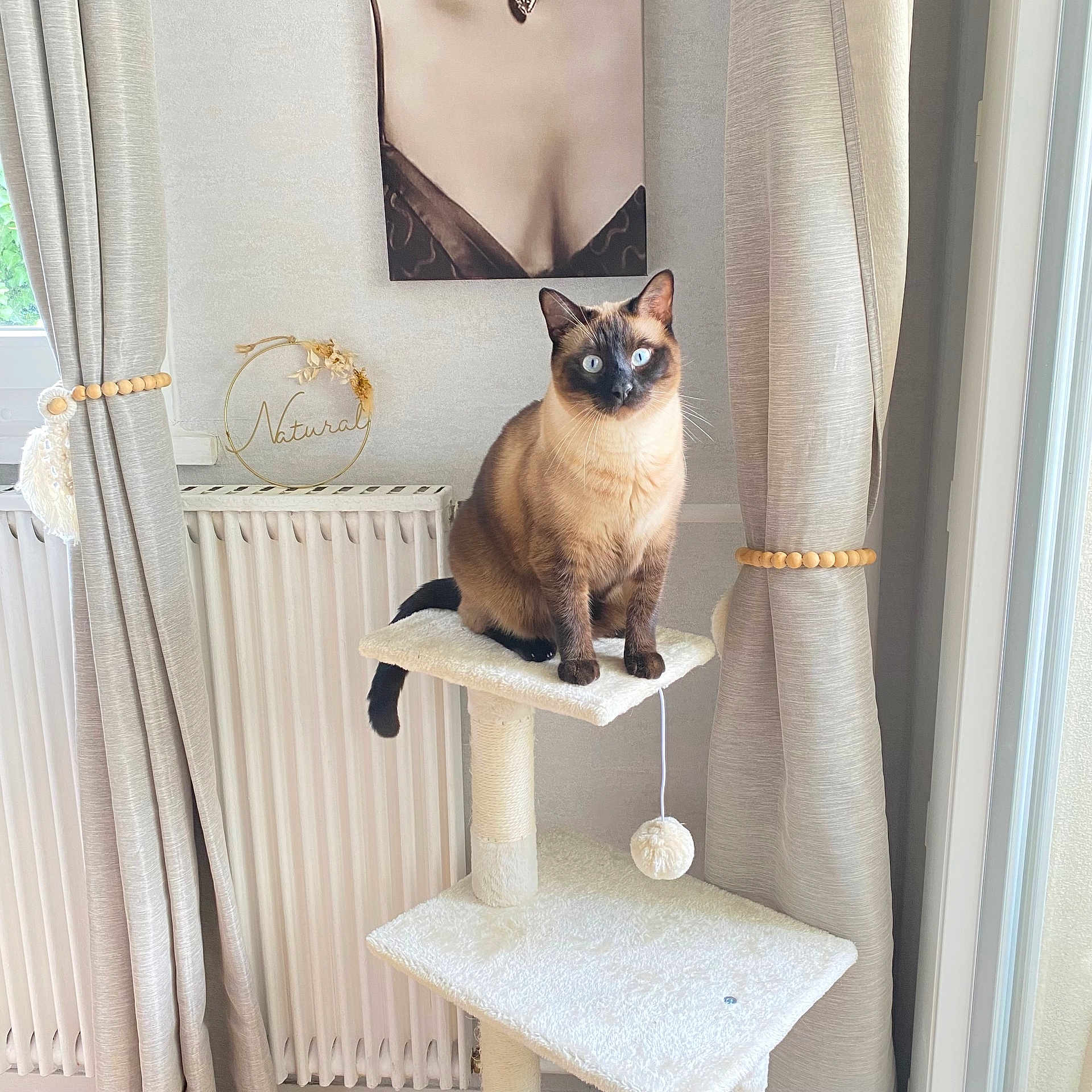 Luna
