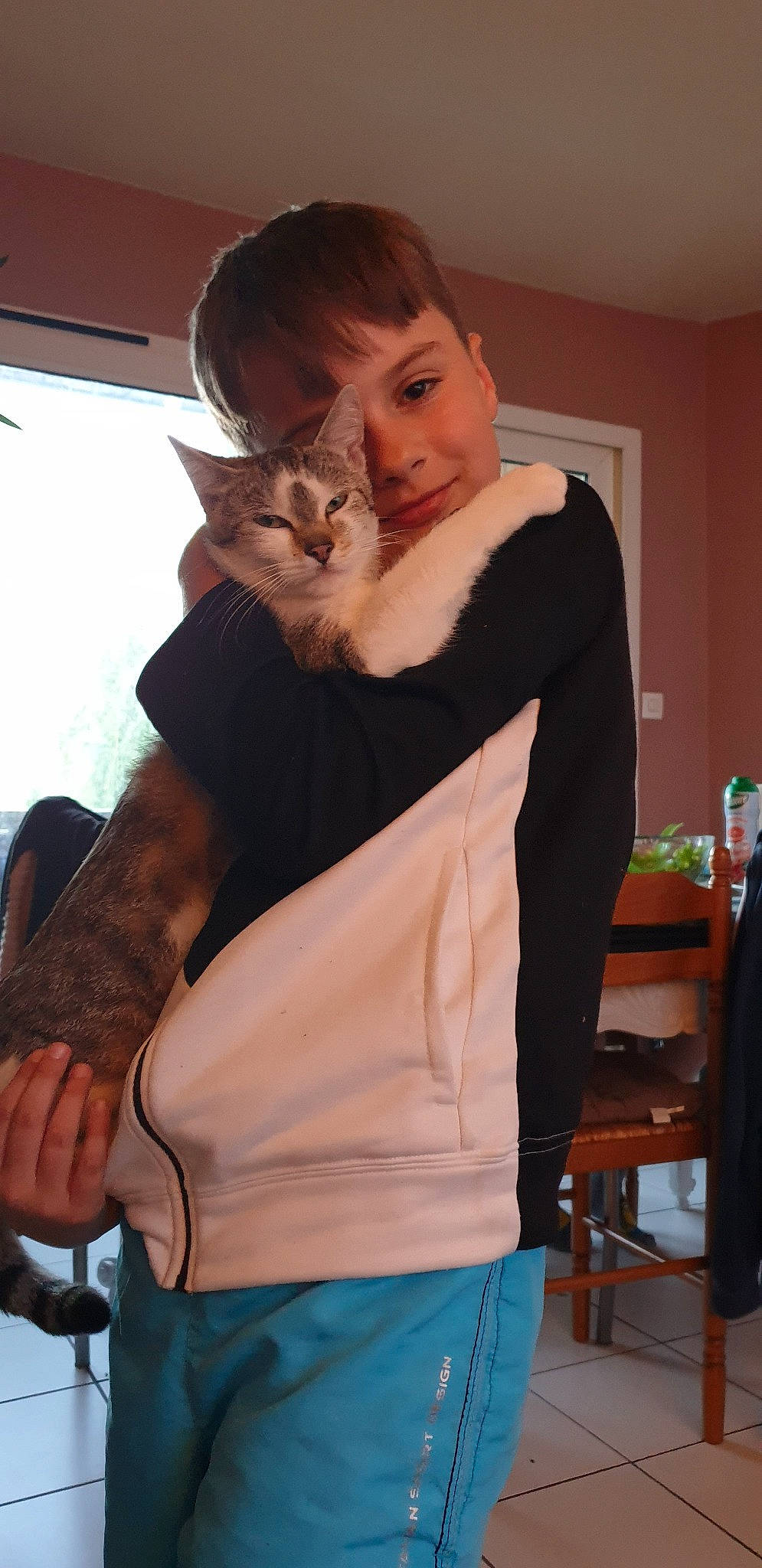 Thibaud a rejoint le concours — aidez-le/la à gagner de superbes lots ! abdomen, brown_hair, carnivore, cat, felidae, fur, long_hair, outerwear, person, shoulder, small_to_medium_sized_cats, top, whiskers