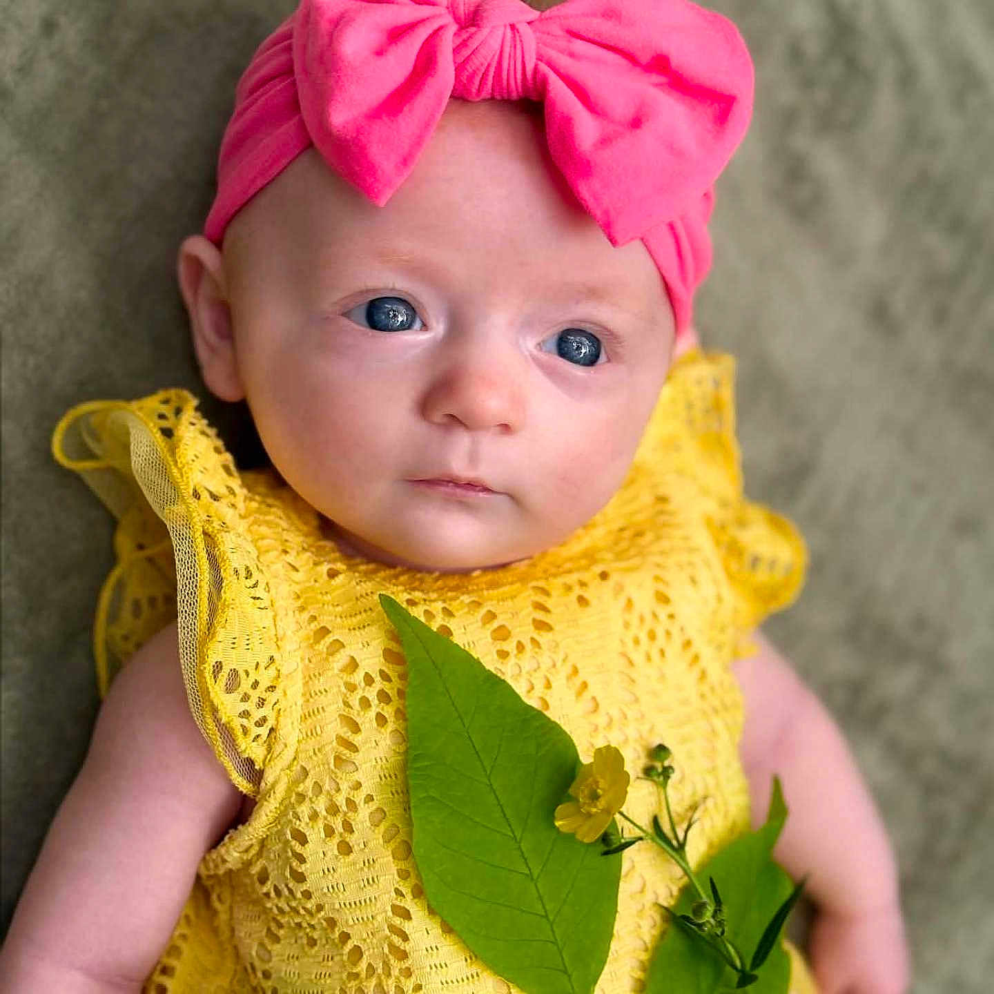 Willow is registered to the contest to win money with this photo: baby, infant, child, pink_bow, yellow_dress, lace, blue_eyes, green_leaves, flower, headband, portrait, closeup, cute, soft_lighting, indoor, skin, expression, person, newborn, lying_down