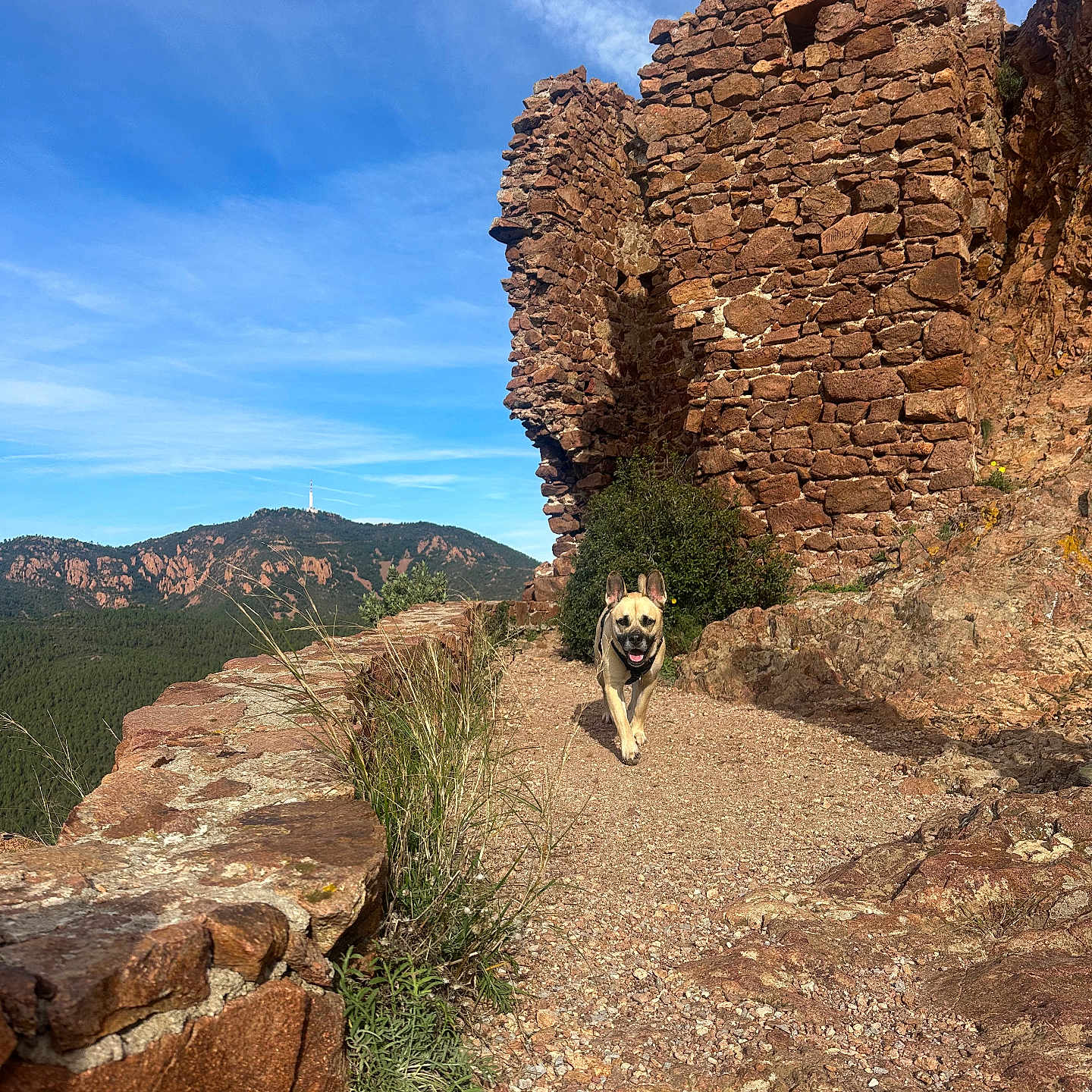 Rio a rejoint le concours — aidez-le/la à gagner de superbes lots ! adventure, cliff, face, grass, head, hiking, landscape, leisureactivities, nature, outdoors, path, person, plant, rock, scenery, slate, soil, trail, vegetation, wilderness