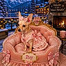 dog, chihuahua, pink_dress, bow, pet_throne, winter, snow, mountains, fireplace, cozy, lights, decorations, luxury, cute, indoor, outdoor_view, portrait, animal, furry_pet, holiday