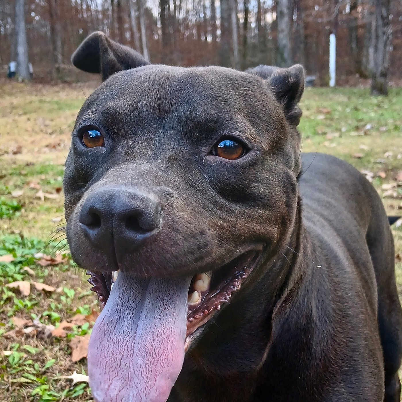 Nakita