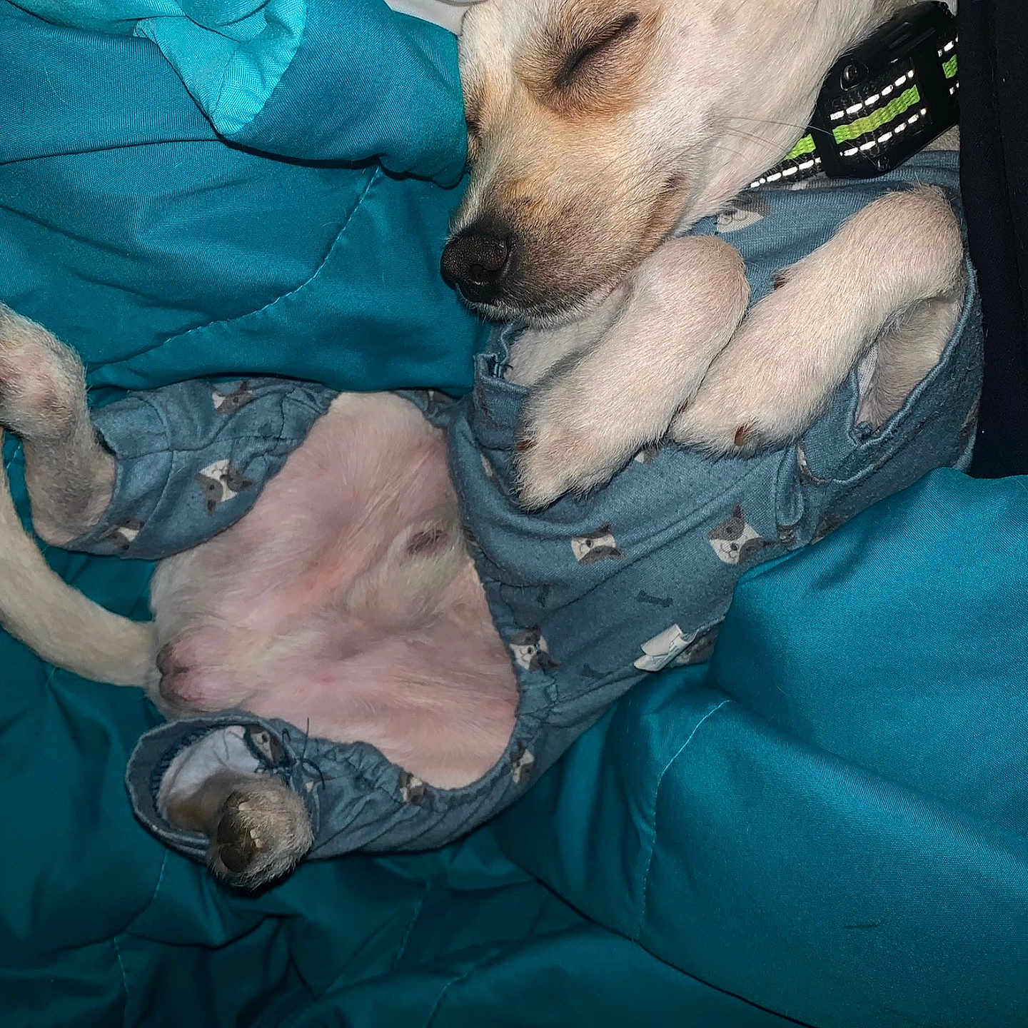 Jax