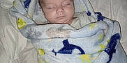Frankie joined the competition — help win amazing prizes! baby, blanket, sleeping, infant, bed, bedding, dinosaur_pattern, cozy, wrapped, child, soft, indoors, cute, peaceful, rest, person, fabric, comfort, nap, head