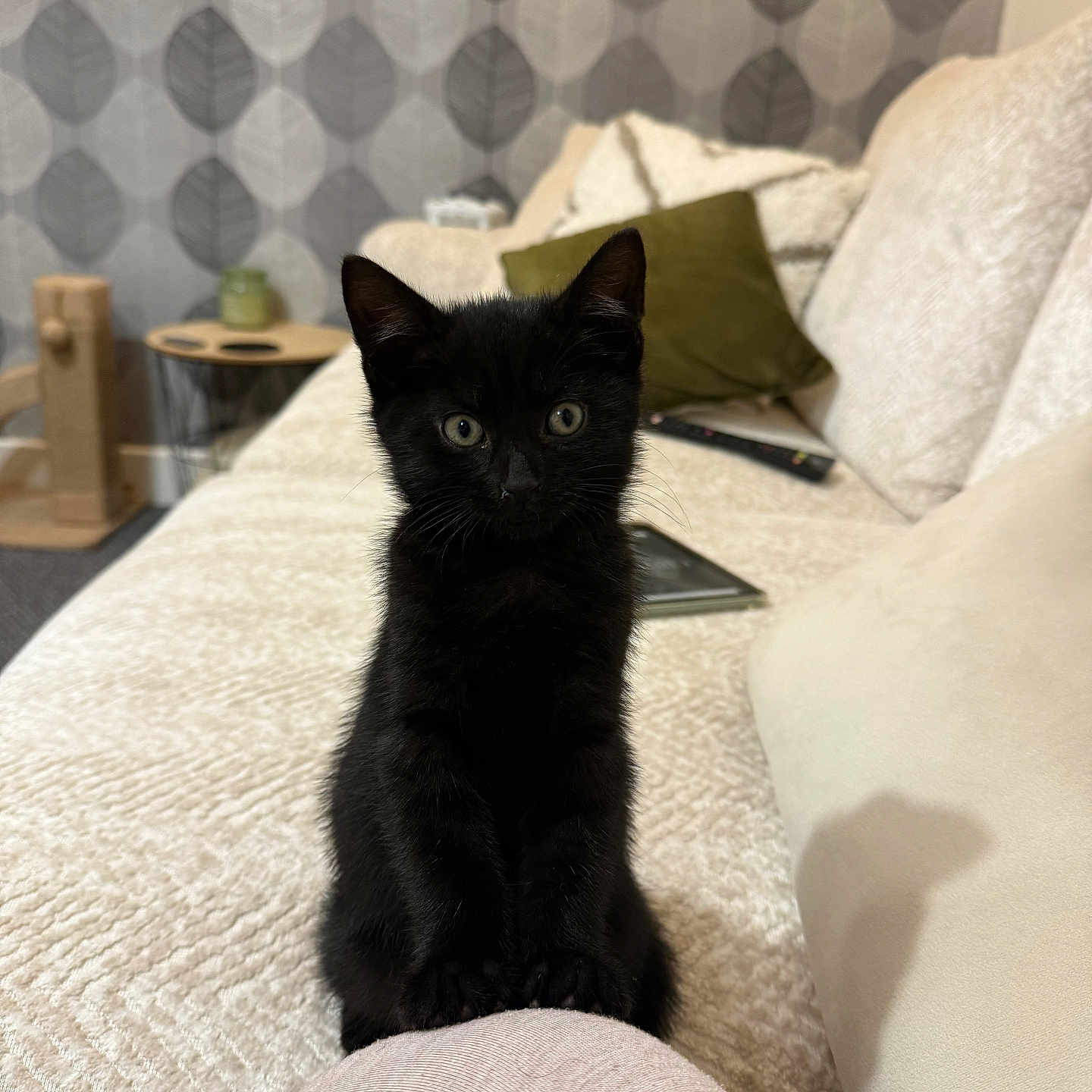 Binx
