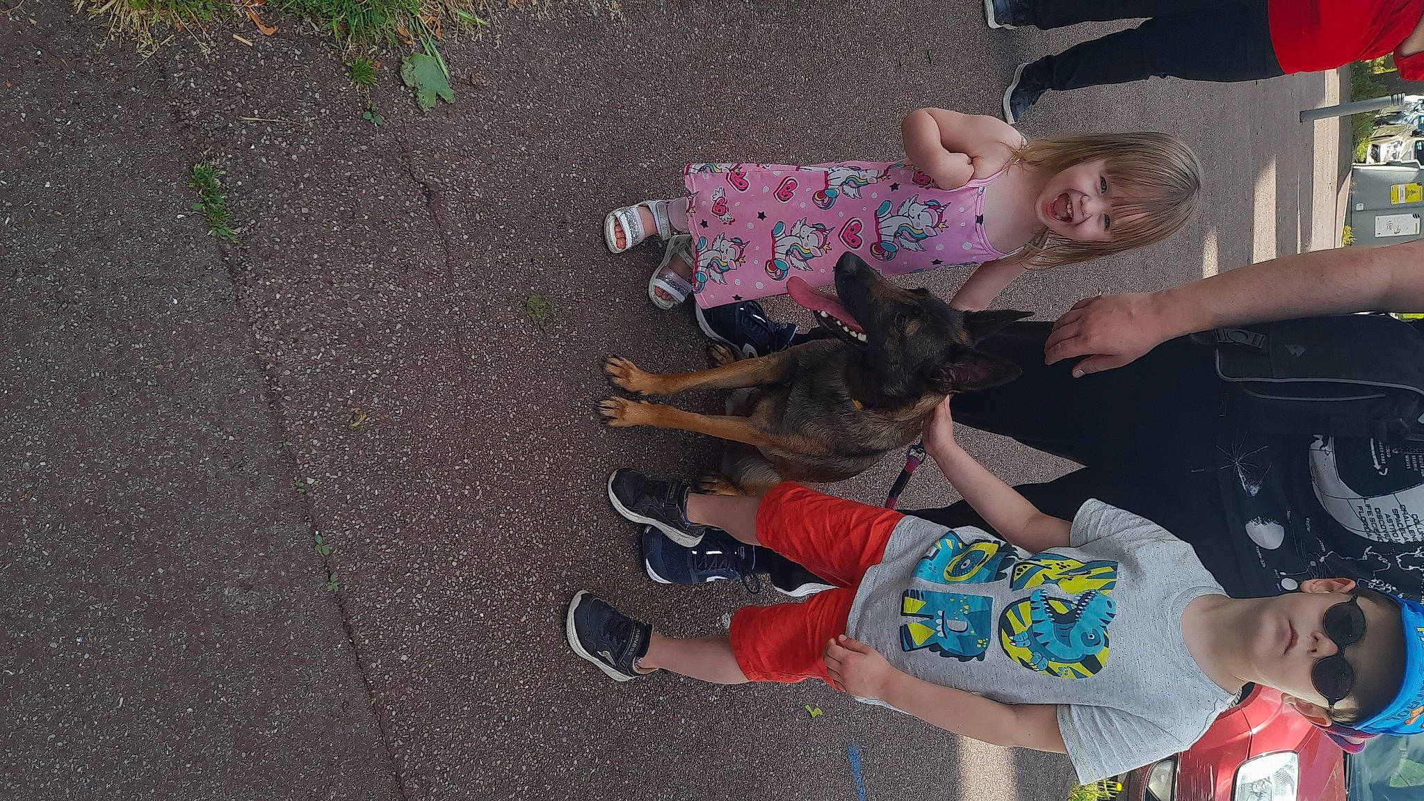 Raja a rejoint le concours — aidez-le/la à gagner de superbes lots ! asphalt, carnivore, child, dog, fun, happy, leisure, play, recreation, road_surface, sandal, shorts, sidewalk, soil, t_shirt, tar, thigh, toddler, tree, walking_shoe