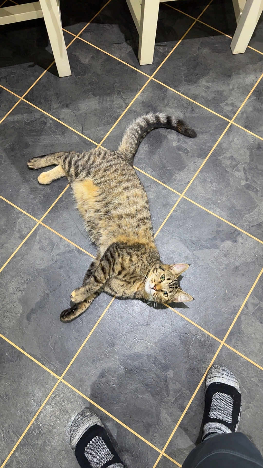 Simba
