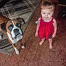 Wednesday joined the competition — help win amazing prizes! animal, barefoot, blue_eyes, boxer_dog, carpet, child, companion, curious, cute, dog, floor, furniture, home, indoor, looking_up, person, pet, red_dress, rug, toddler