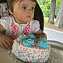 birthday, blue_frosting, cake, celebration, child, curly_hair, face, food, grass, hands, high_chair, outdoor, person, pink_embroidery, plate, sprinkles, table, toddler, trees, white_shirt