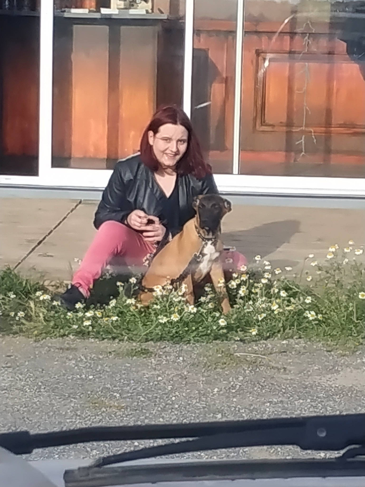 Sheitan participe au concours pour gagner de l'argent avec cette photo : canidae, fawn, fun, grass, joy, leg, person, photography, sitting, smile, snapshot