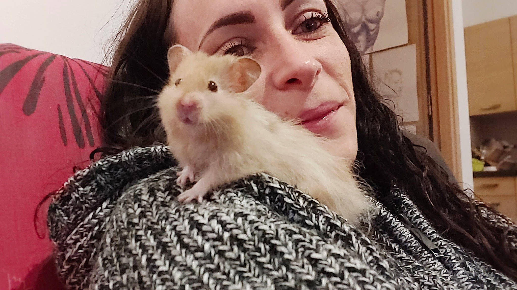 Kiki a rejoint le concours — aidez-le/la à gagner de superbes lots ! cheek, ear, eye, fur, gerbil, hamster, iris, lip, mammal, mouse, mouth, muridae, muroidea, nose, rat, rodent, selfie, skin, snout, whiskers