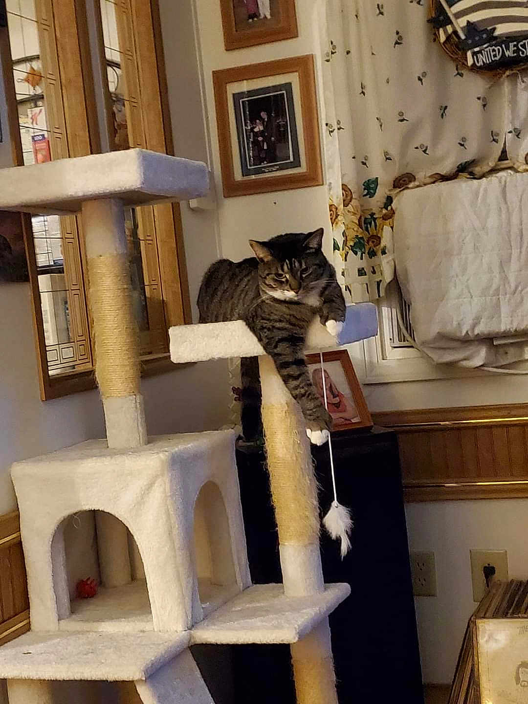 Tia