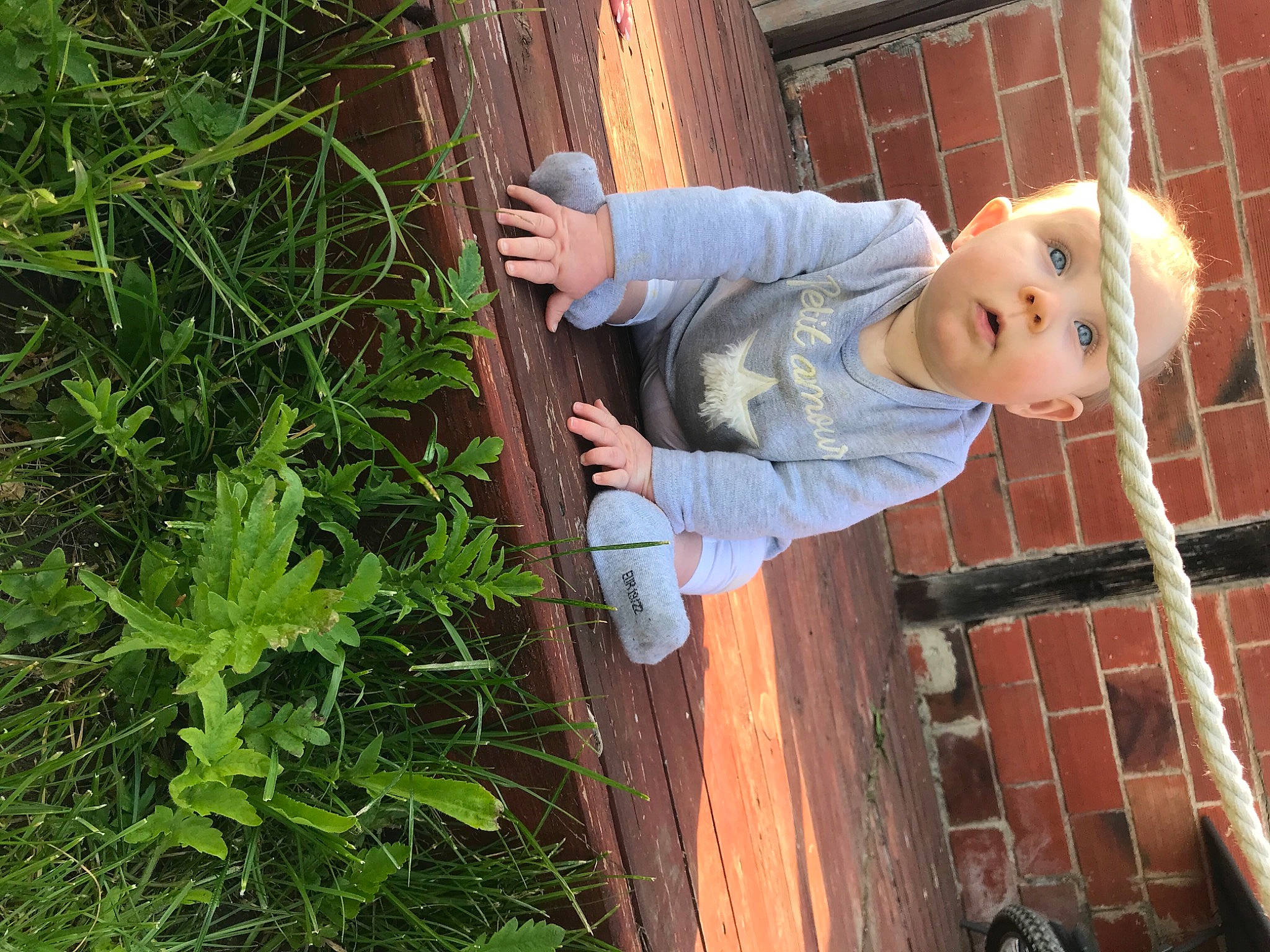 Mélya participe au concours pour gagner de l'argent avec cette photo : baby_toddler_clothing, child, flowering_plant, grass, green, groundcover, happy, headwear, herb, ingredient, leaf_vegetable, leisure, local_food, people_in_nature, person, plant, produce, shrub, soil, surprise