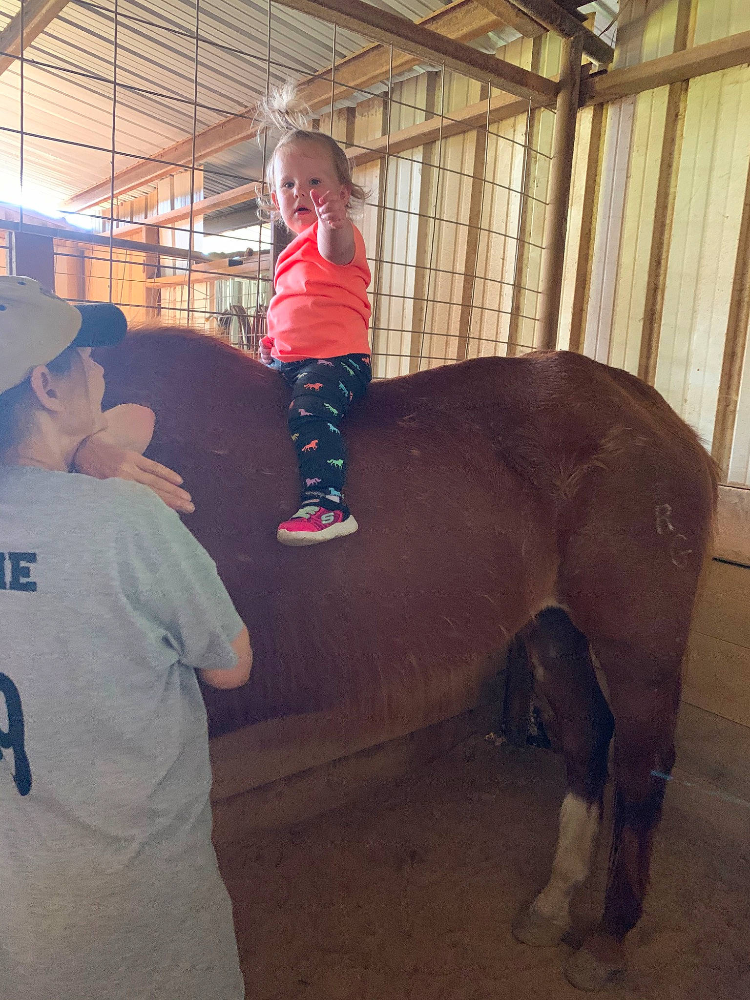 Madeline is registered to the contest to win money with this photo: horse, horse_grooming, horse_supplies, horse_tack, mane, mare, pack_animal, person, pony, stable, working_animal