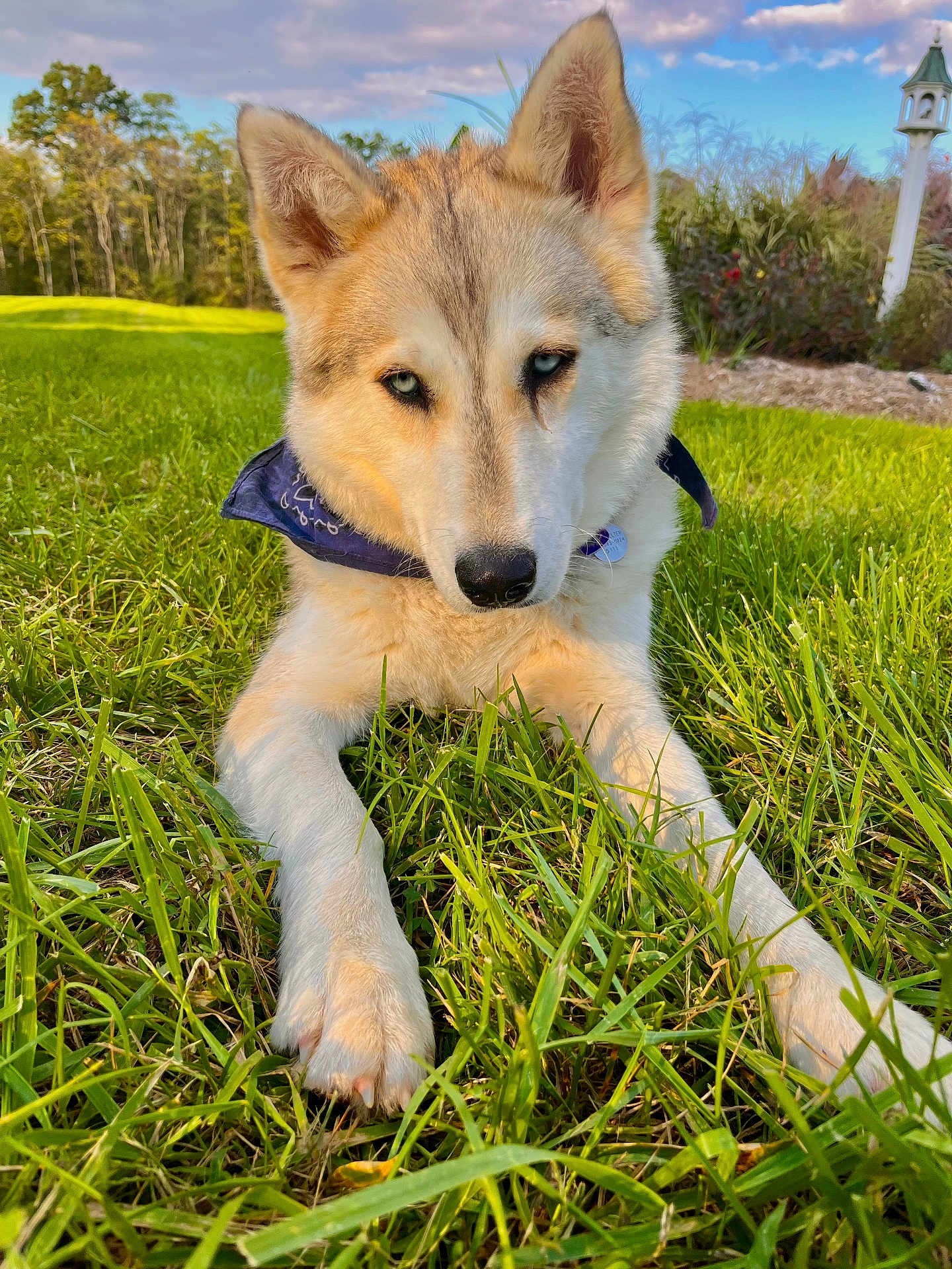 Sky