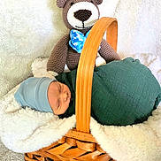 Harrison is registered to the contest to win money with this photo: newborn, baby, basket, blanket, crocheted_toy, teddy_bear, blue_hat, green_wrap, sleeping, soft_texture, cozy, indoor, cute, infant, plush, wooden_basket, fabric, resting, child, adorable