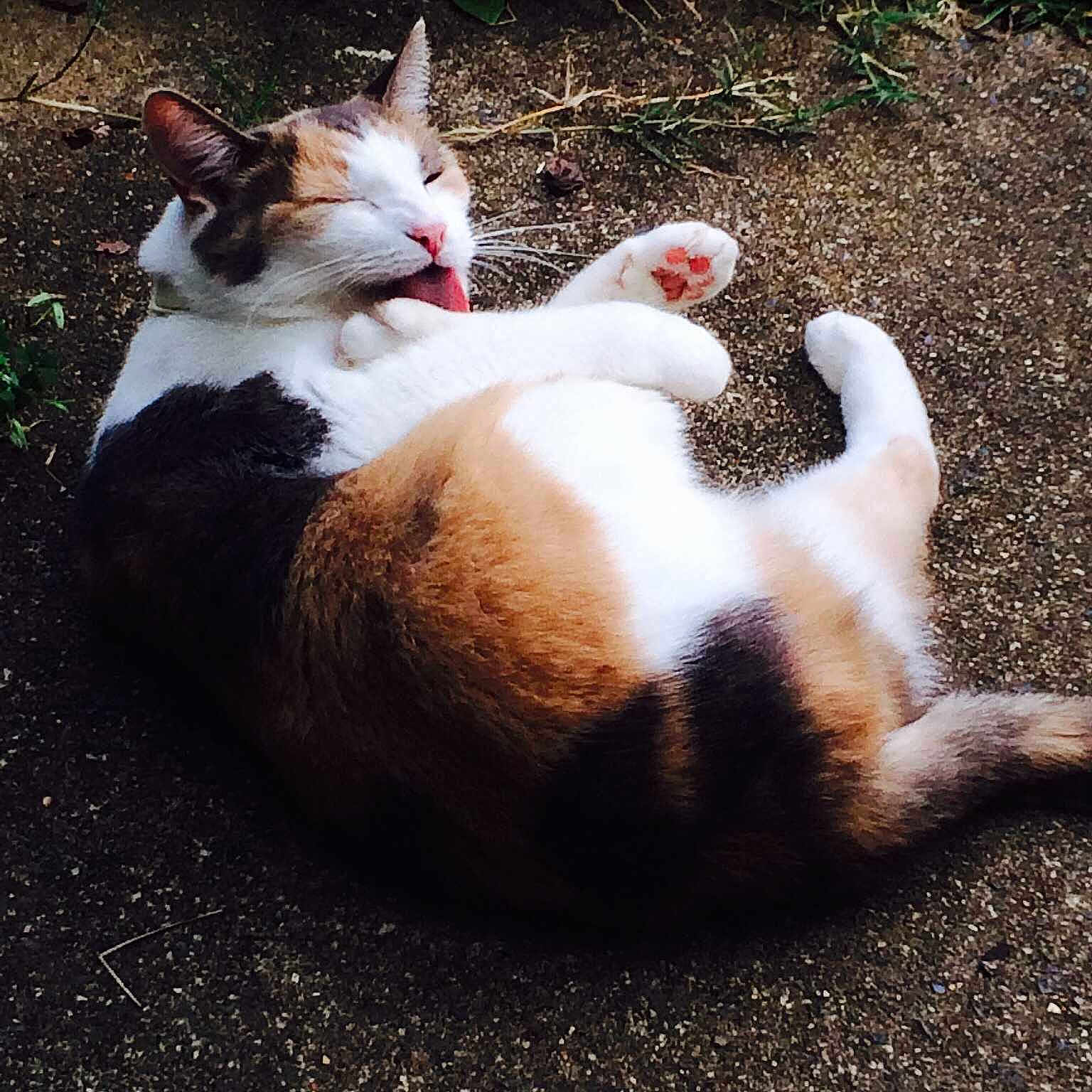 Cali is registered to the contest to win money with this photo: