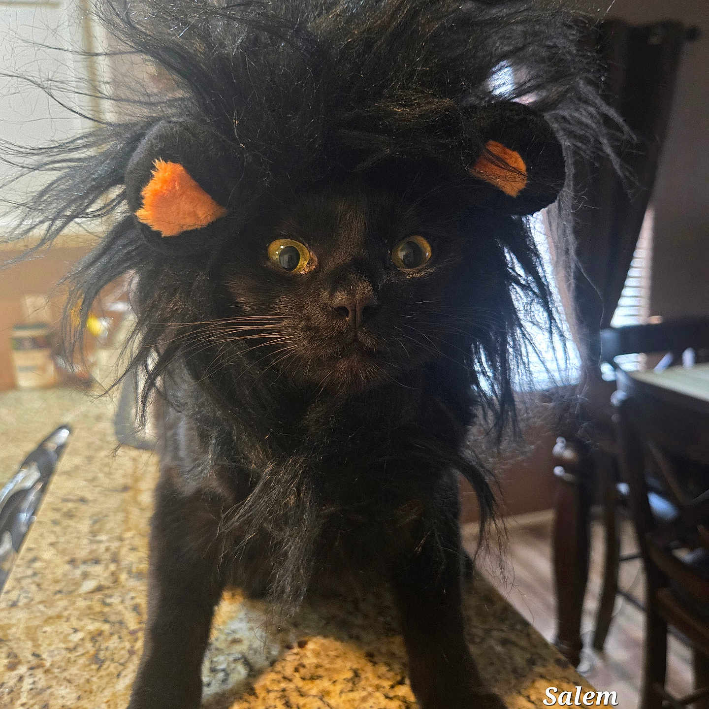 Salem