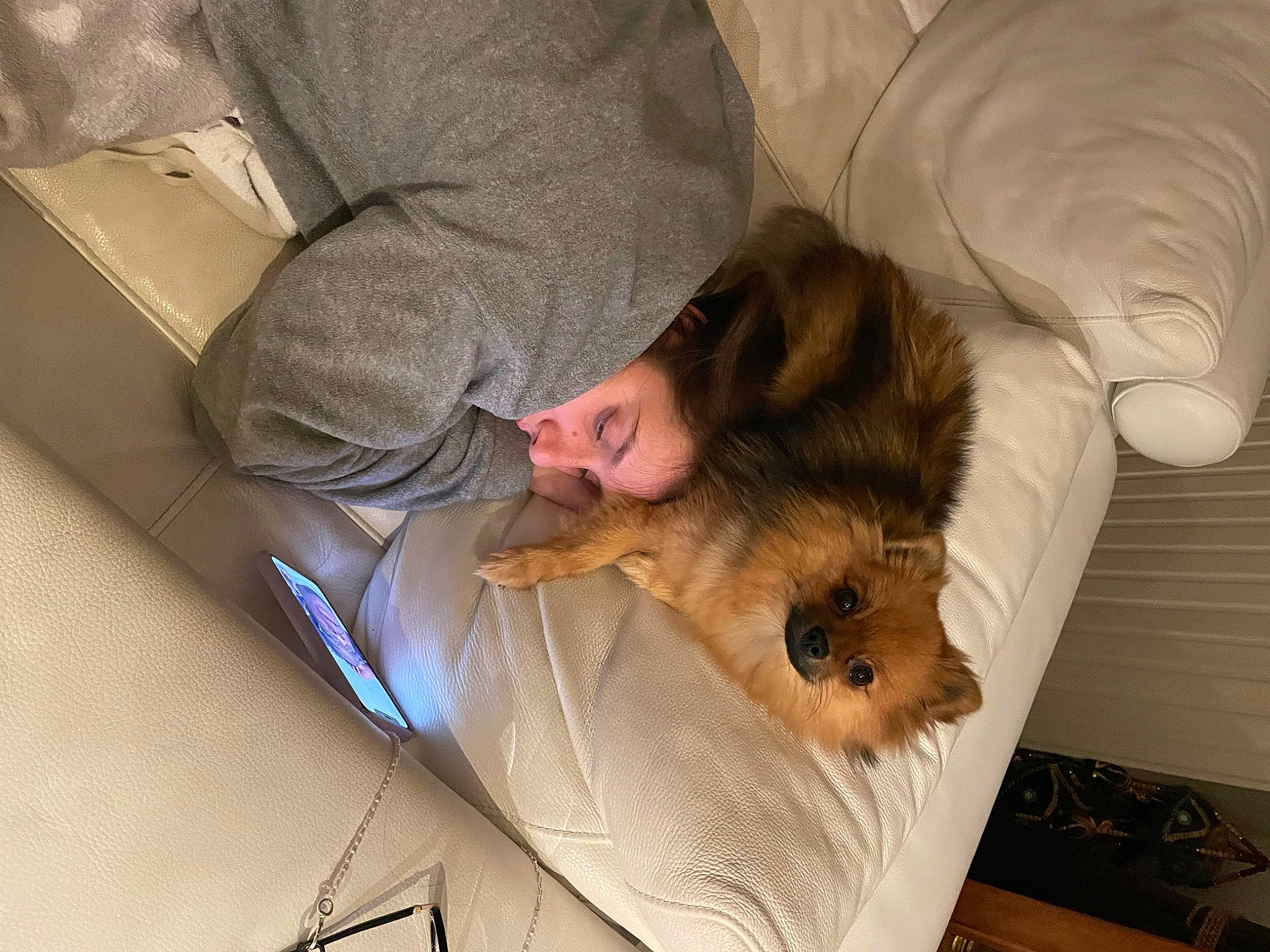 Tokyo participe au concours pour gagner de l'argent avec cette photo : canidae, carnivore, child, comfort, companion_dog, couch, dog, dog_breed, fawn, flooring, fur, gesture, nap, room, sitting, sleep, small_to_medium_sized_cats, sporting_group, whiskers, wood