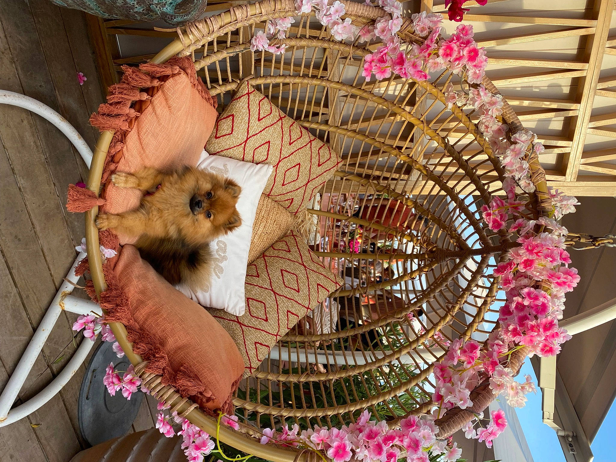 Tokyo participe au concours pour gagner de l'argent avec cette photo : art, craft, event, fashion_accessory, floral_design, fur, headgear, market, marketplace, muroidea, natural_material, rodent, terrestrial_animal, toy, visual_arts, whiskers, wood