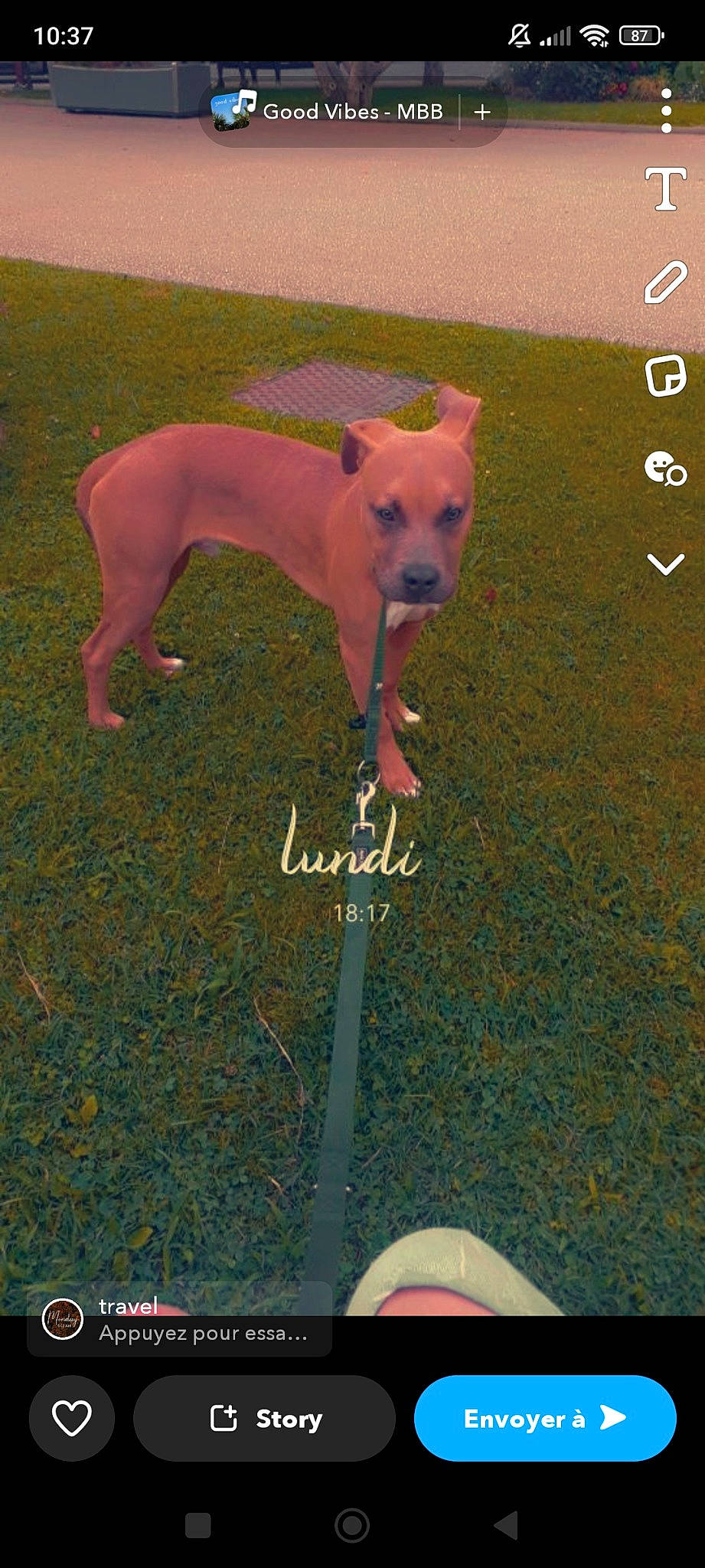 Kamass participe au concours pour gagner de l'argent avec cette photo : ancient_dog_breeds, canidae, carnivore, companion_dog, dog, dog_breed, dog_supply, fawn, font, non_sporting_group, photo_caption, screenshot, snout, sporting_group, tail, terrestrial_animal, working_animal