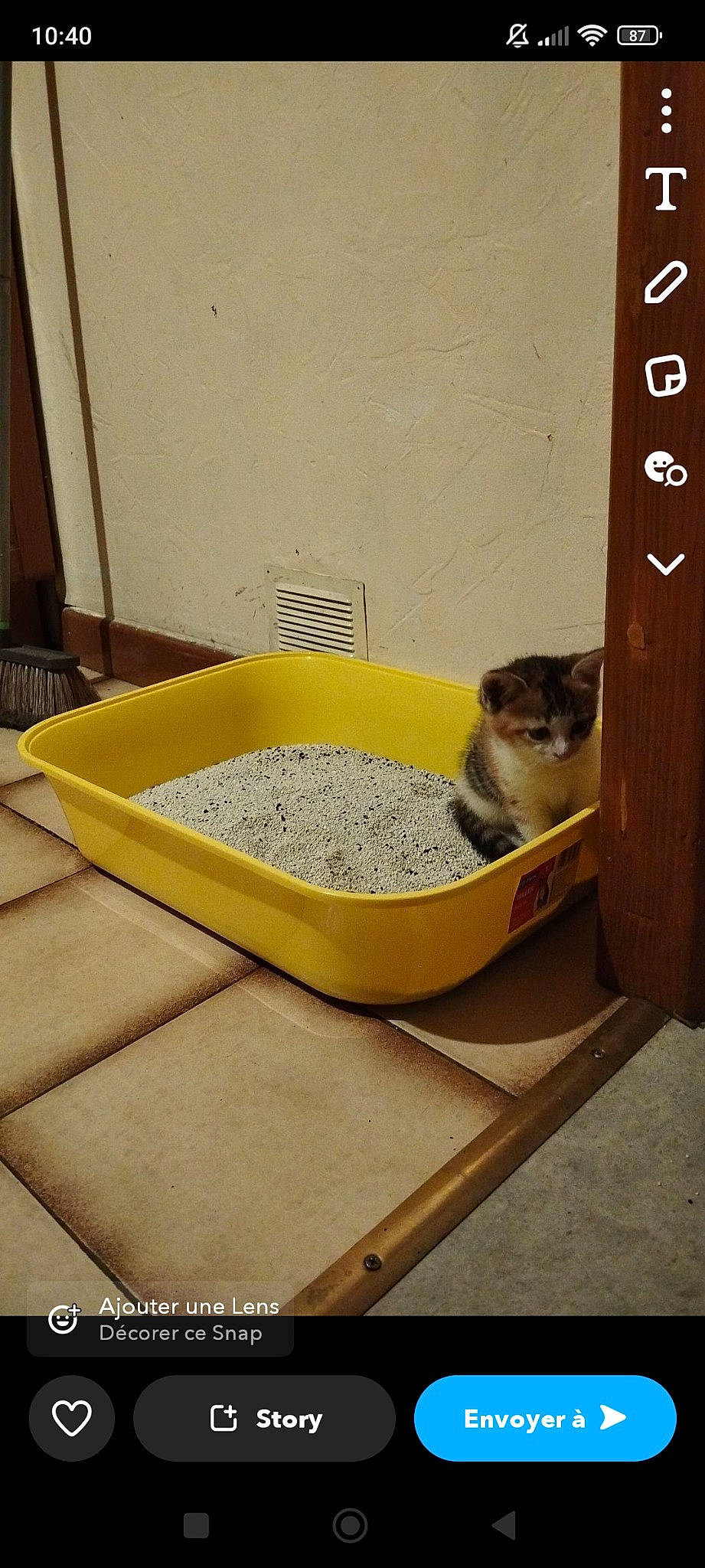 Câline participe au concours pour gagner de l'argent avec cette photo : animal_feed, carnivore, cat, cat_supply, dog_food, fawn, felidae, flooring, fur, perching_bird, pet_food, pet_supply, plumbing_fixture, rectangle, rodent, small_animal_food, small_to_medium_sized_cats, tail, tap, whiskers