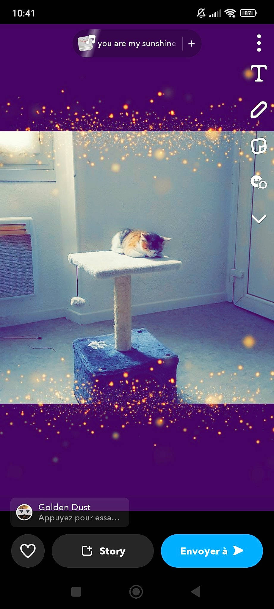 Câline a rejoint le concours — aidez-le/la à gagner de superbes lots ! advertising, chair, display_case, display_device, electric_blue, entertainment, event, flooring, font, interior_design, light, lighting, magenta, purple, rectangle, room, space, table, violet, wallpaper