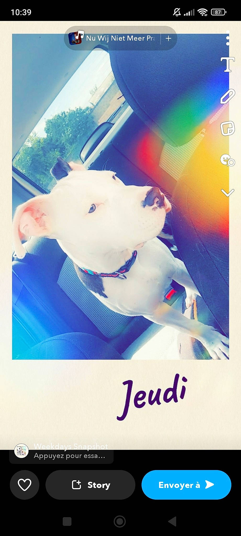 Uzy a rejoint le concours — aidez-le/la à gagner de superbes lots ! animation, art, carnivore, companion_dog, dog, dog_breed, electric_blue, fictional_character, font, graphic_design, graphics, happy, illustration, livestock, magenta, non_sporting_group, rectangle, visual_arts, working_animal