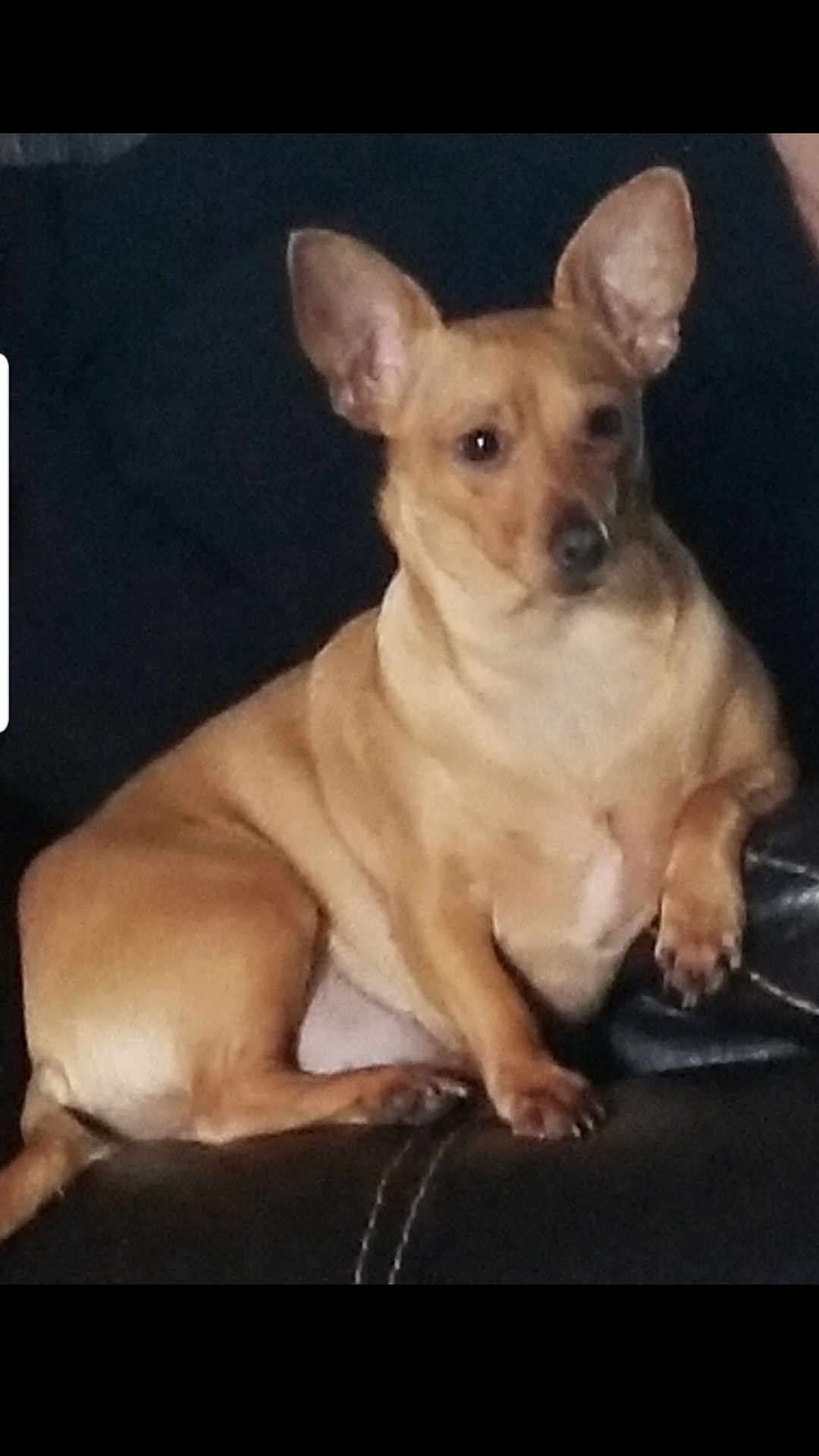 Tinka