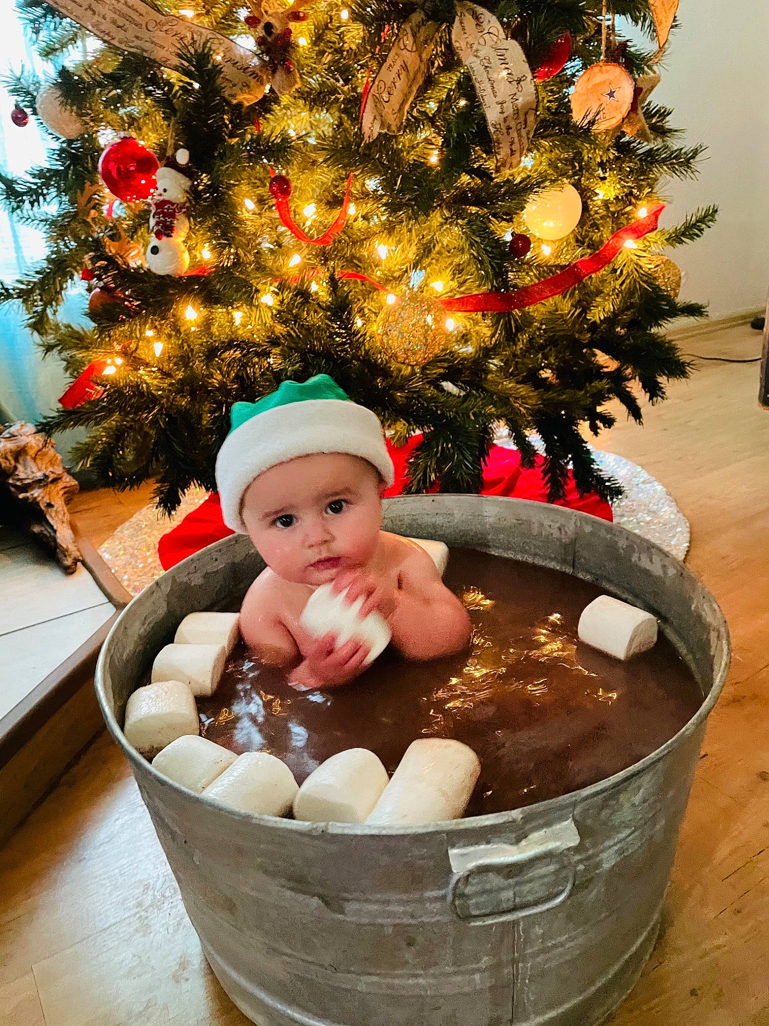 Dakoda joined the competition — help win amazing prizes! baby, bathing, christmas, christmas_decoration, christmas_eve, christmas_lights, christmas_ornament, christmas_tree, conifer, costume_hat, fictional_character, fir, headwear, holiday, holiday_ornament, interior_design, ornament, person, pine, pine_family