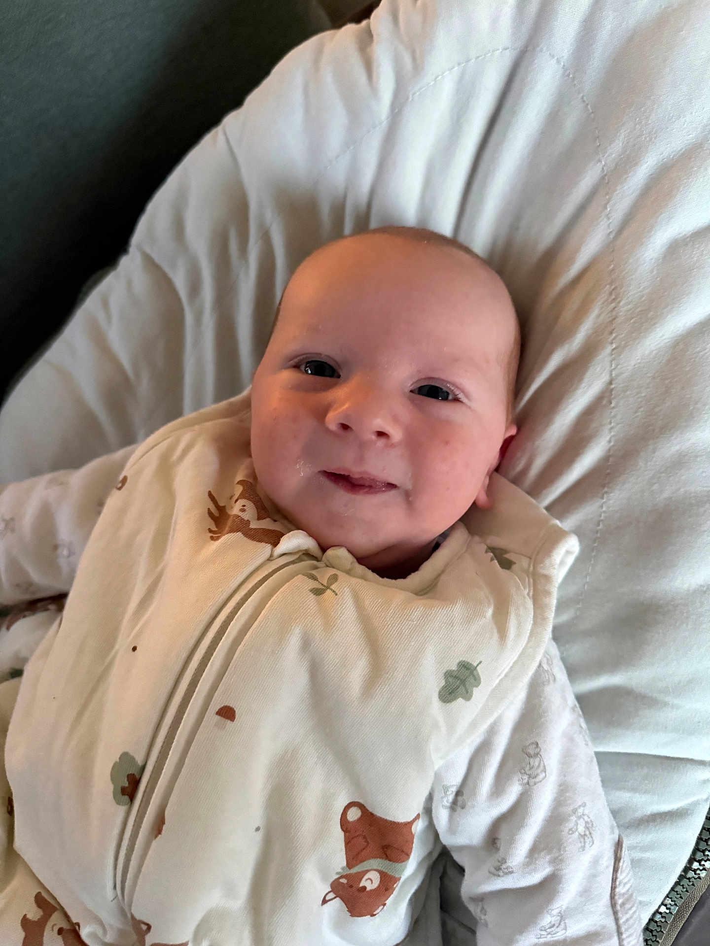 Arthur a rejoint le concours — aidez-le/la à gagner de superbes lots ! baby, infant, newborn, smile, face, eyes, cheeks, onesie, animal_print, pillow, blanket, bedding, fabric, lying_down, indoors, portrait, closeup, cute, sleepy, happy