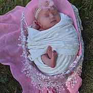 Rosemary is registered to the contest to win money with this photo: newborn, baby, sleeping, blanket, pink, headband, flower, basket, lace, grass, outdoor, wrapped, feet, peaceful, infant, soft, portrait, cute, resting, nature
