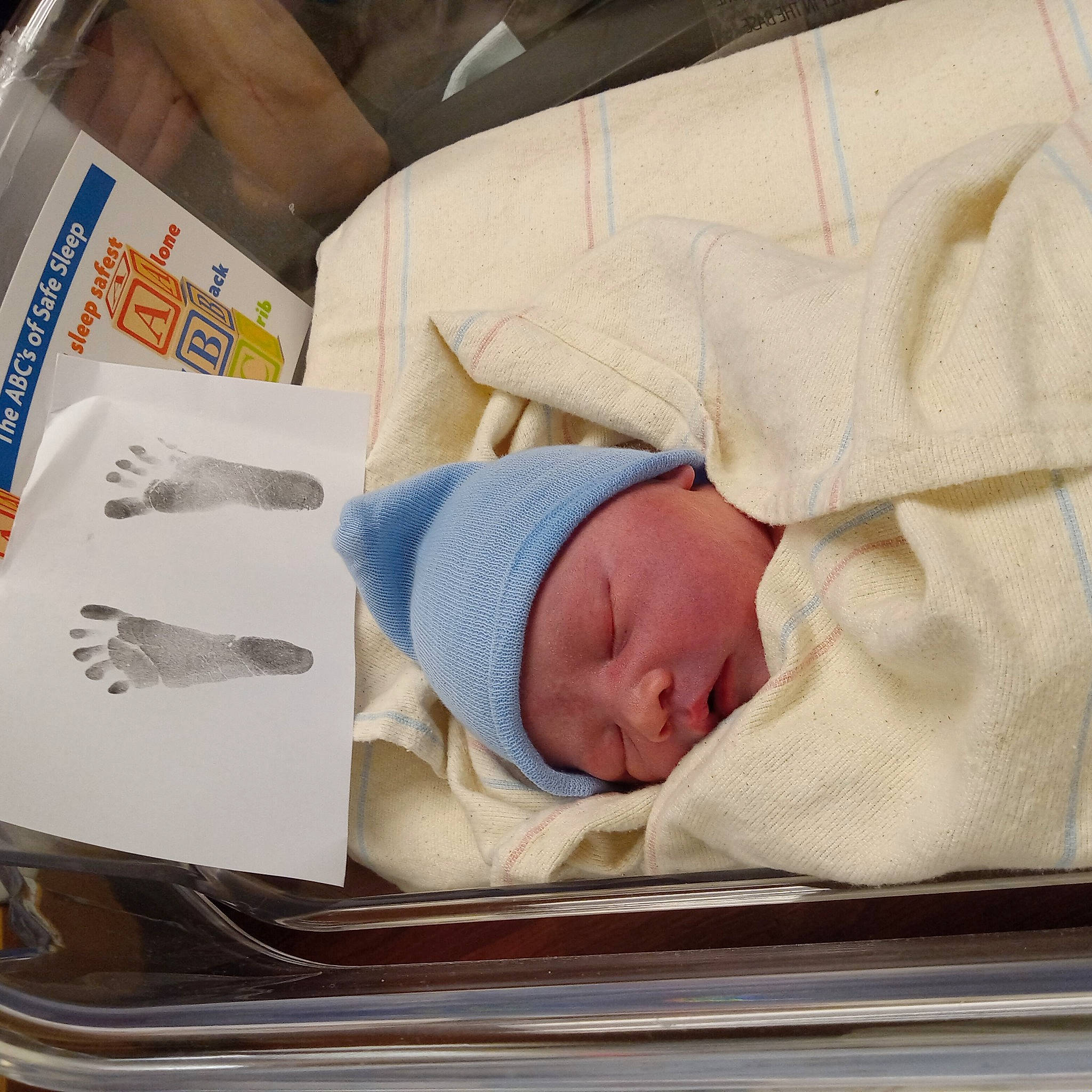 Timber joined the competition — help win amazing prizes! baby, baby_products, baby_safety, baby_sleeping, baby_toddler_clothing, bedding, bedtime, child, comfort, fish, headwear, health_care, infant_bed, linens, medical, nap, person, room, sleep, toddler